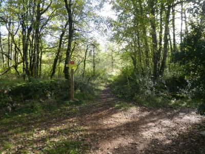 Croisement après Nibousou