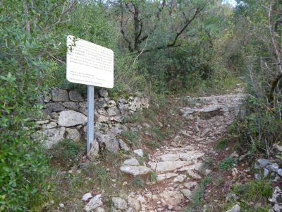 Vue siège Louis XIII