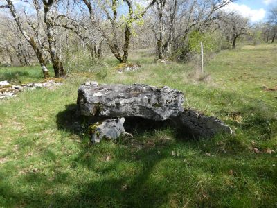 Vue Dolmen Lasartières