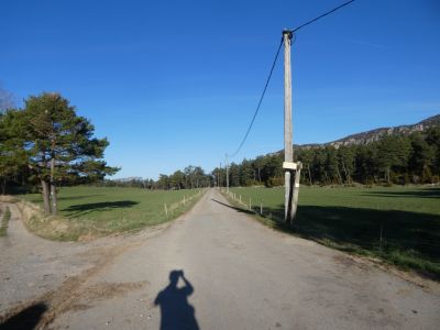 Croisement après Branques II