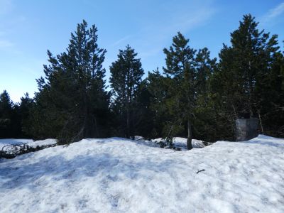 Descente Rasos