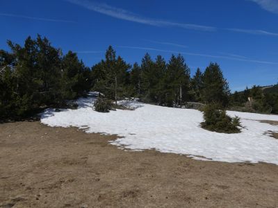 Pas Puigventós
