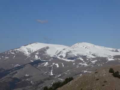 Vue Tosa