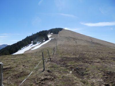 Coll Ermada