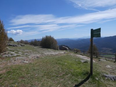 Croisement Pere Montgrony 2