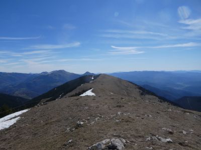 Descente Pubilla