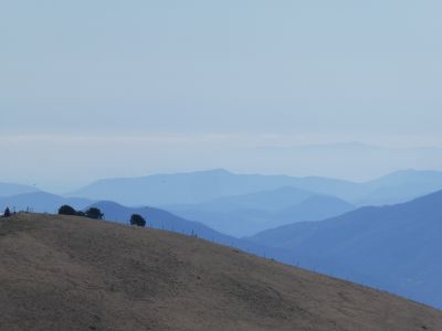 Vue Patllari