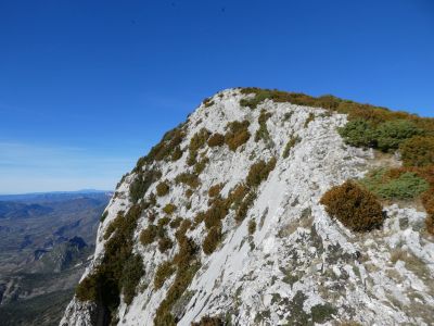 Vue falaises Teller