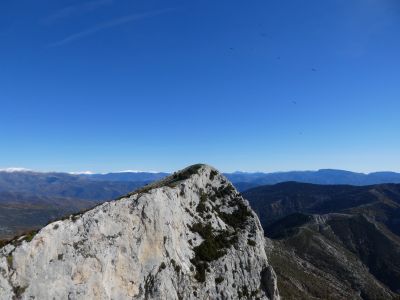Vue Avedoga