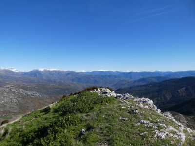 Descente Avedoga