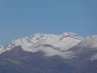 Vue Posets