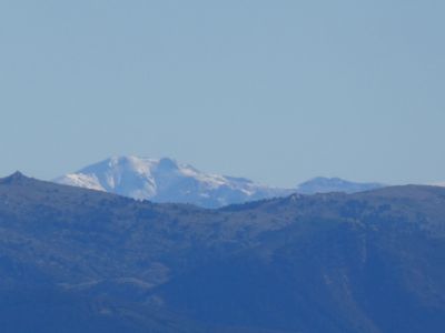 Vue Tosa