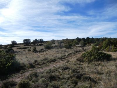Croisement avant Planell