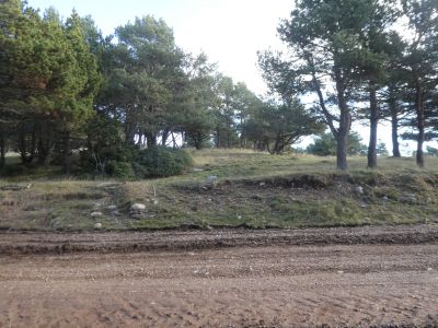 Croisement Planell Ras