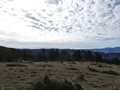 Croisement clôture Boumort