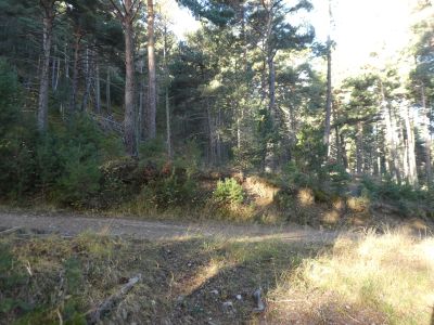 Croisement piste Montesclado