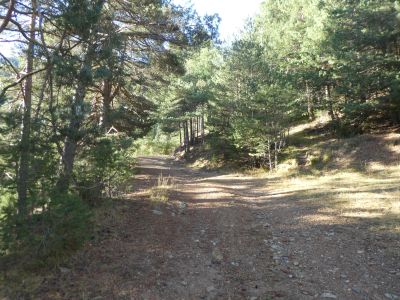 Croisement montée Trescollo 2