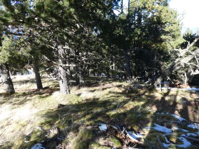 Vue descente sommet 2