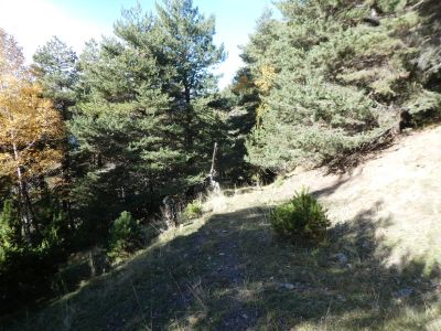 Vue descente Serelles 2