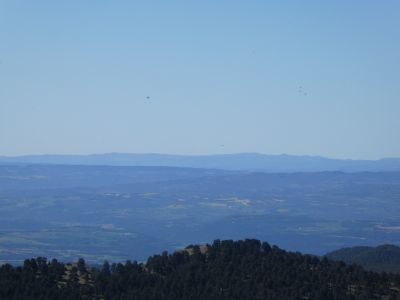 Vue Formigosa