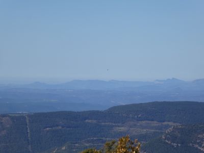 Vue Carbonera