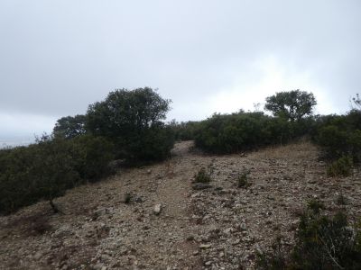 Vue descente Almenara