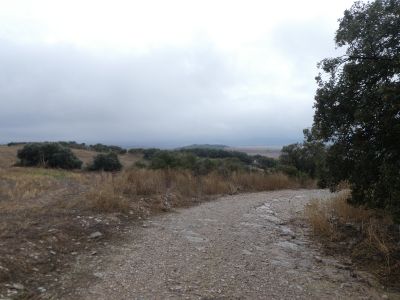 Croisement descente Almenara 4