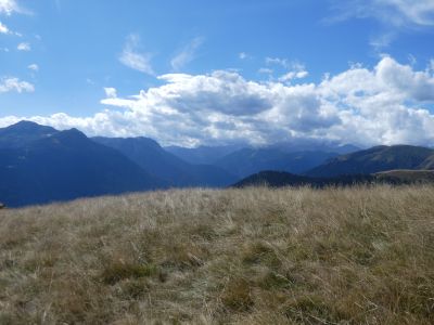 Croisement Lauadors / Plansorda