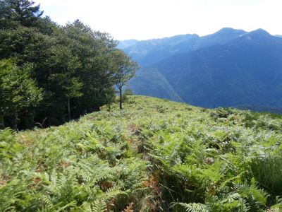 Vue descente Plansorda 4