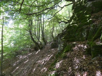 Vue descente Plansorda 6