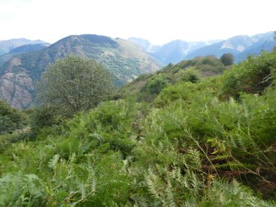 Vue descente Plansorda 7