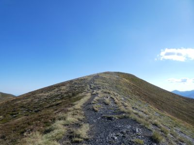 Vue montée Plan Ome 2