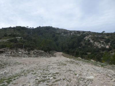 Coll Basseta