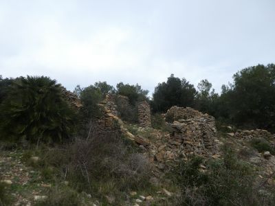 Vue Coixet
