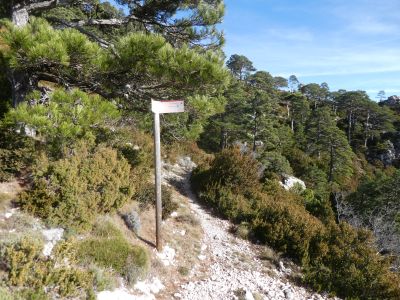 Croisement après Vicari