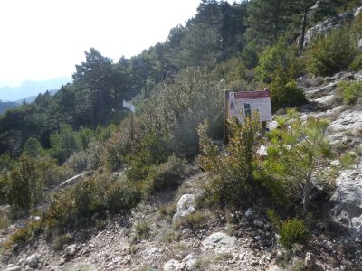 Croisement après Pimpollada