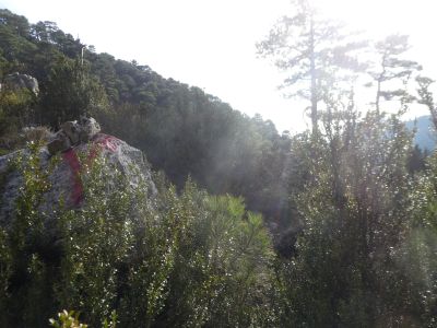 Croisement après Bassis