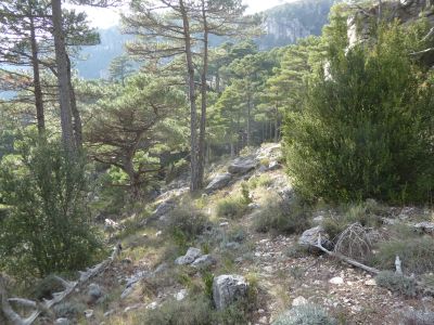 Vue Desferracavalls