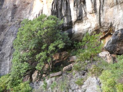Vue cavités Morralets