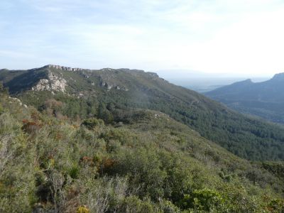 Portella Caro