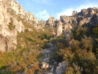 Vue Pegunter