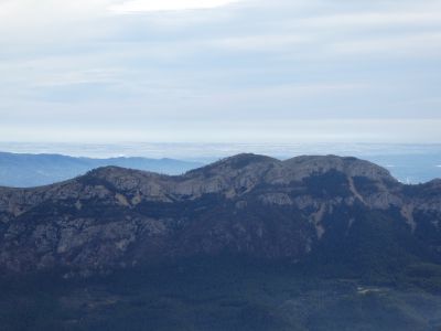 Vue Coscollosa