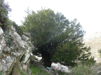 Vue Teix