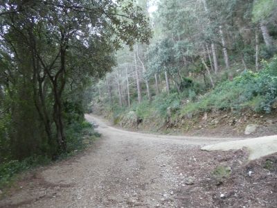Croisement Roges / Gilaberta