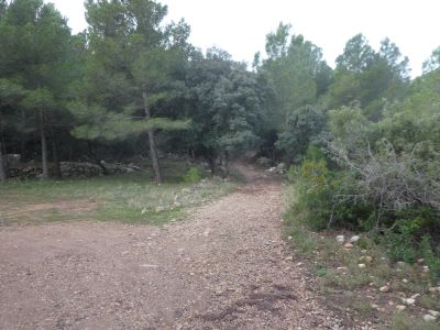 Croisement après Ametleral