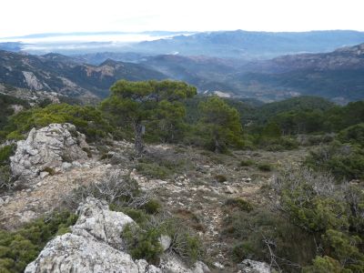 Descente Vacarissal