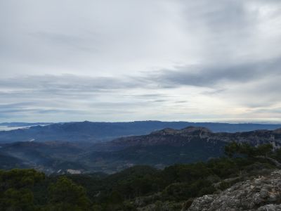 Vue Cardó