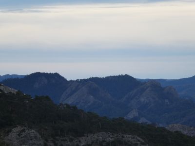 Vue Enrajolada